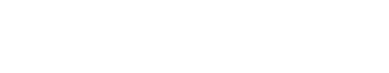 superior-essex-logo